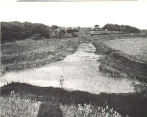 Blackbrook Terminus
